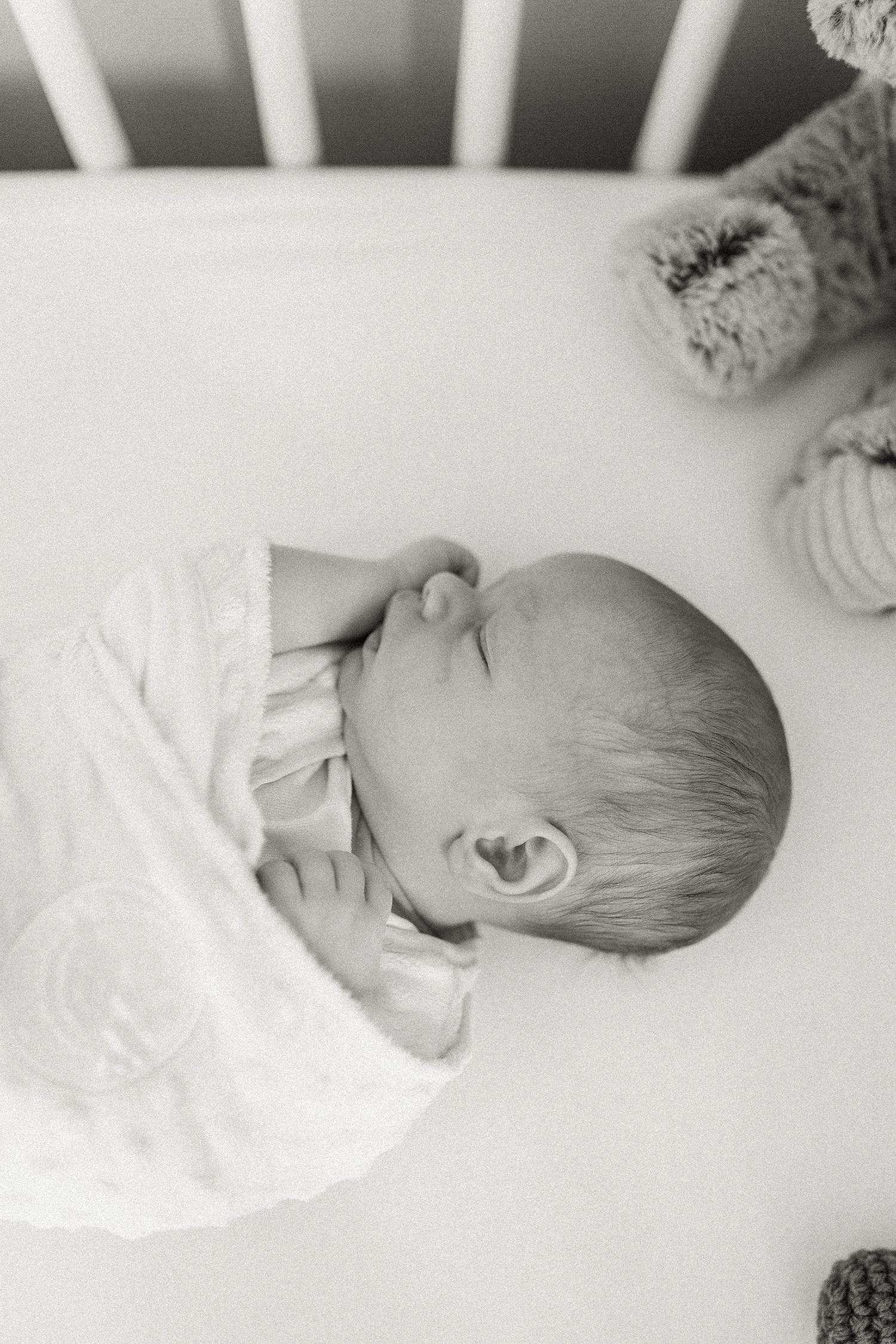 browncroft, rochester newborn photographer
