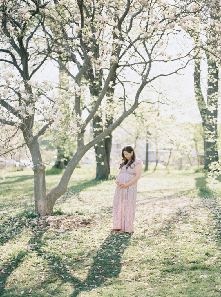 highland park magnolia maternity session rochester ny