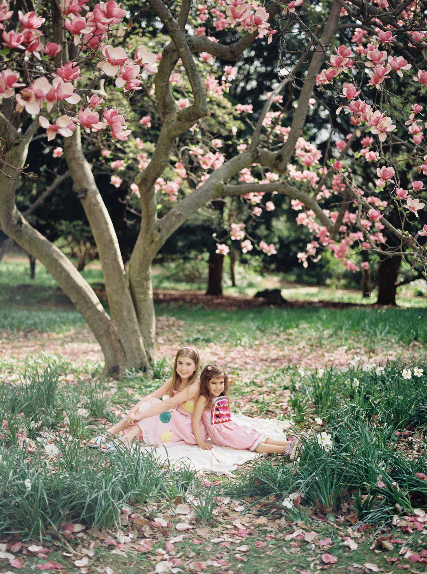 magnolia sister photography session in highland park rochester, ny